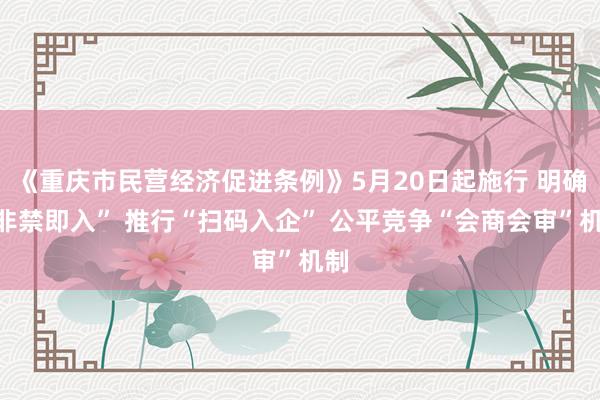 《重庆市民营经济促进条例》5月20日起施行 明确“非禁即入” 推行“扫码入企” 公平竞争“会商会审”机制